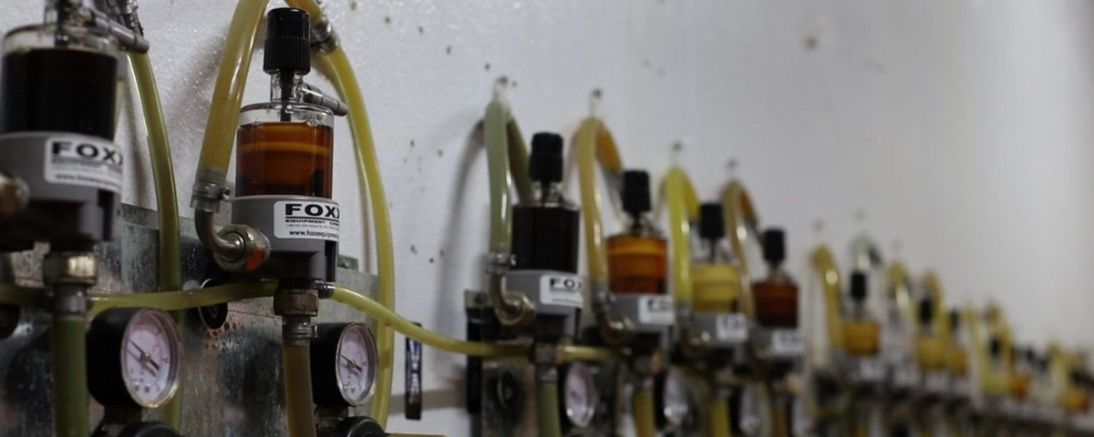 What is a Beer FOB Detector and Why Should You Use One?