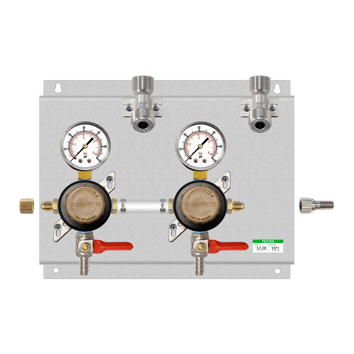 Assembled Panel with 2 Taprite Secondary Regulators, Includes Brackets, No Tubing