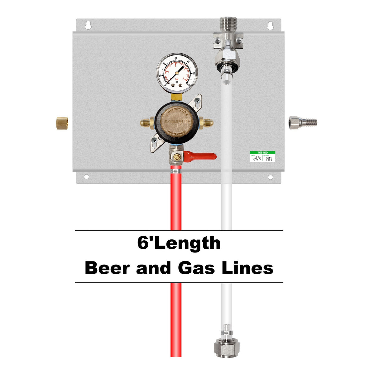 Assembled Panel with 1 Taprite Secondary Regulator, 1 FOB, Bracket, Gas & Beer Lines, Fittings