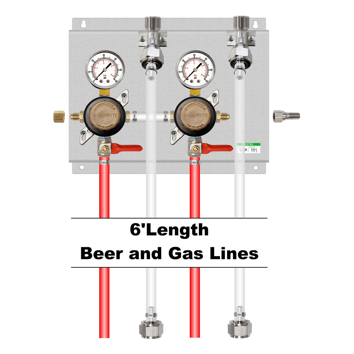 Assembled Panel with 2 Taprite Secondary Regulators, 2 FOBs, Brackets, Gas & Beer Lines, Fittings