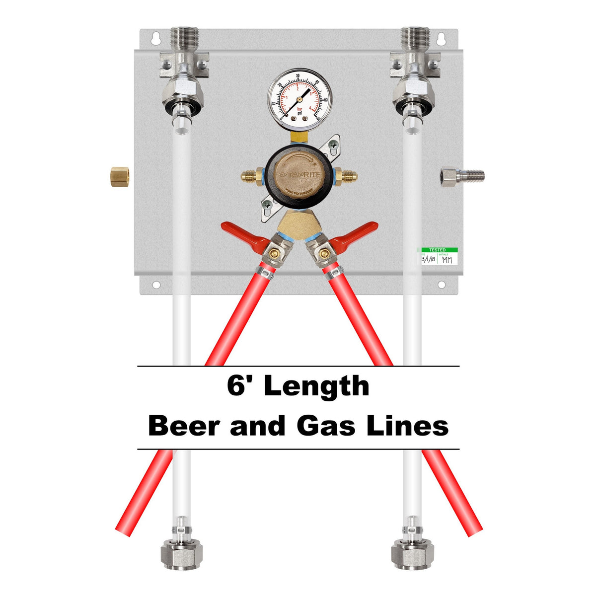Assembled Panel with 1 Taprite Regulator with Y Fitting, 2-Outlet Air Dist, Brackets, Gas & Beer Lines, Fittings