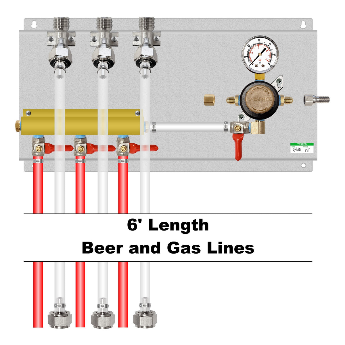 Assembled Panel with 1 Taprite Regulator, 3-Outlet Air Dist, Brackets, Gas & Beer Lines, Fittings