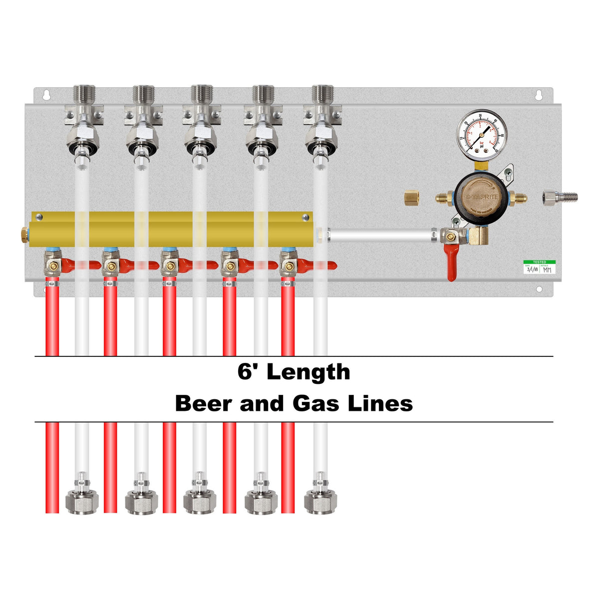 Assembled Panel with 1 Taprite Regulator, 5-Outlet Air Dist, Brackets, Gas & Beer Lines, Fittings