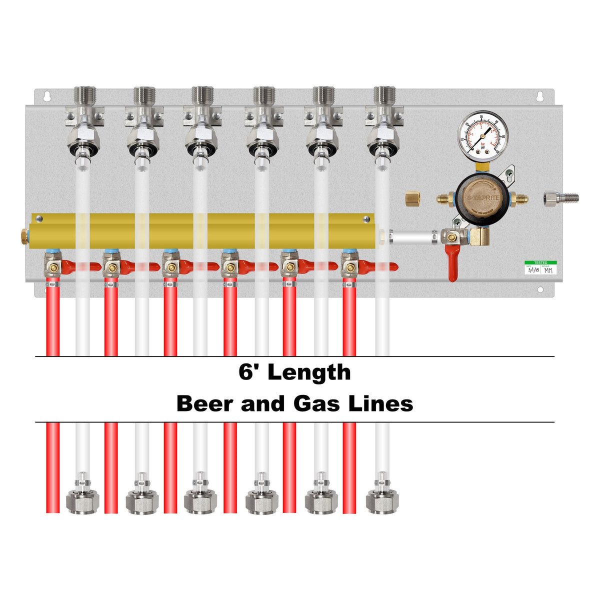 Assembled Panel with 1 Taprite Regulator, 6-Outlet Air Dist, Brackets, Gas & Beer Lines, Fittings