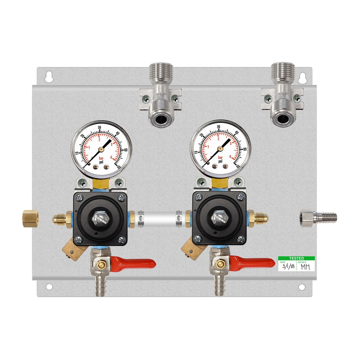 Assembled Panel with 2 Cornelius Secondary Regulators, Brackets, No Lines Included