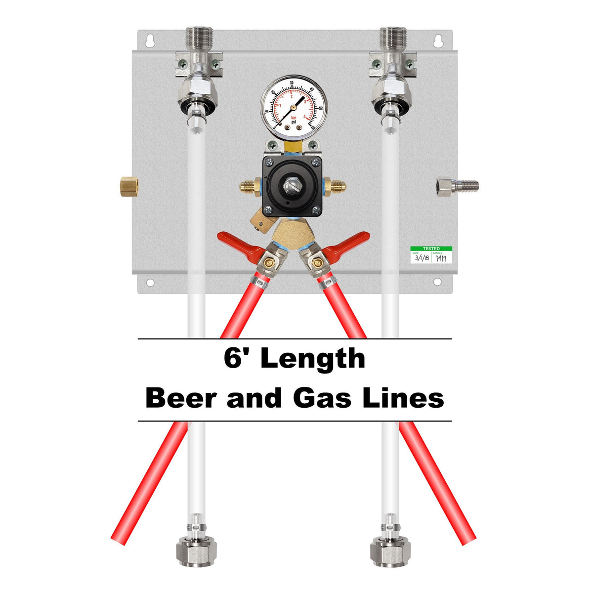 Assembled Panel with 1 Cornelius Regulator with Y Fitting, Brackets, Gas & Beer Lines, Fittings