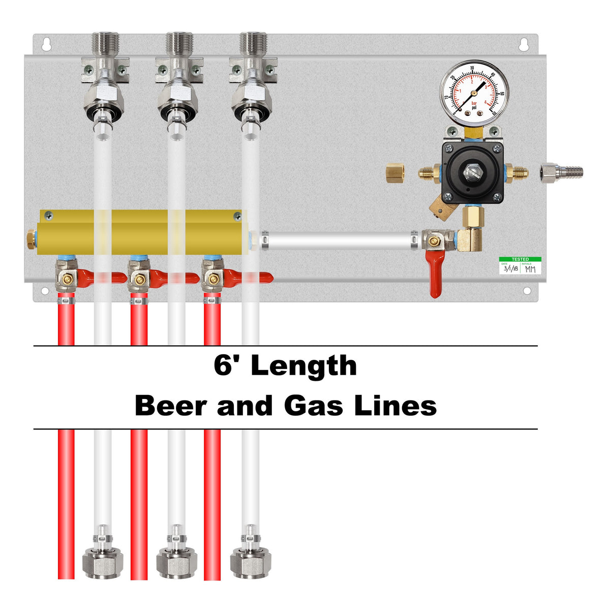 Assembled Panel with 1 Cornelius Regulator, 3-Outlet Air Dist, Brackets, Gas & Beer Lines, Fittings