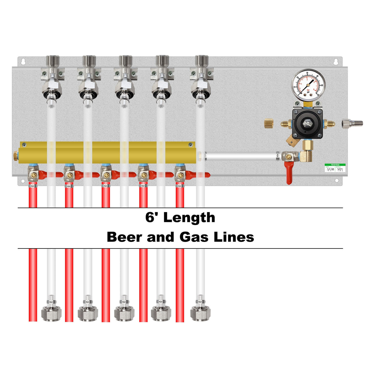 Assembled Panel with 1 Cornelius Regulator, 5-Outlet Air Dist, Brackets, Gas & Beer Lines, Fittings