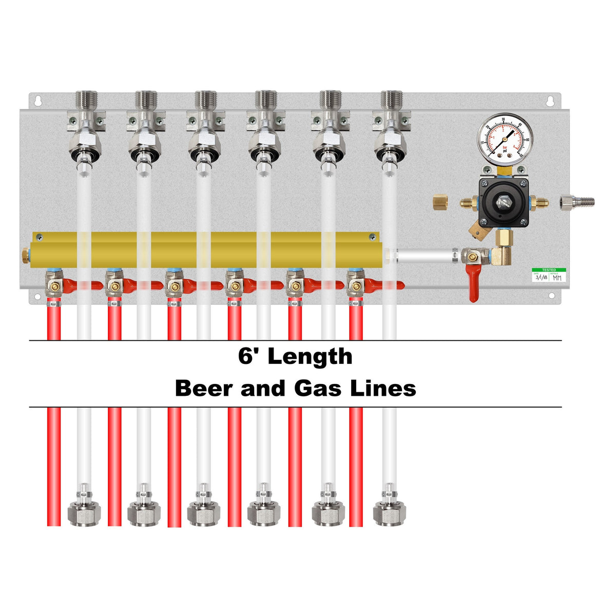 Assembled Panel with 1 Cornelius Regulator, 6-Outlet Air Dist, Brackets, Gas & Beer Lines, Fittings