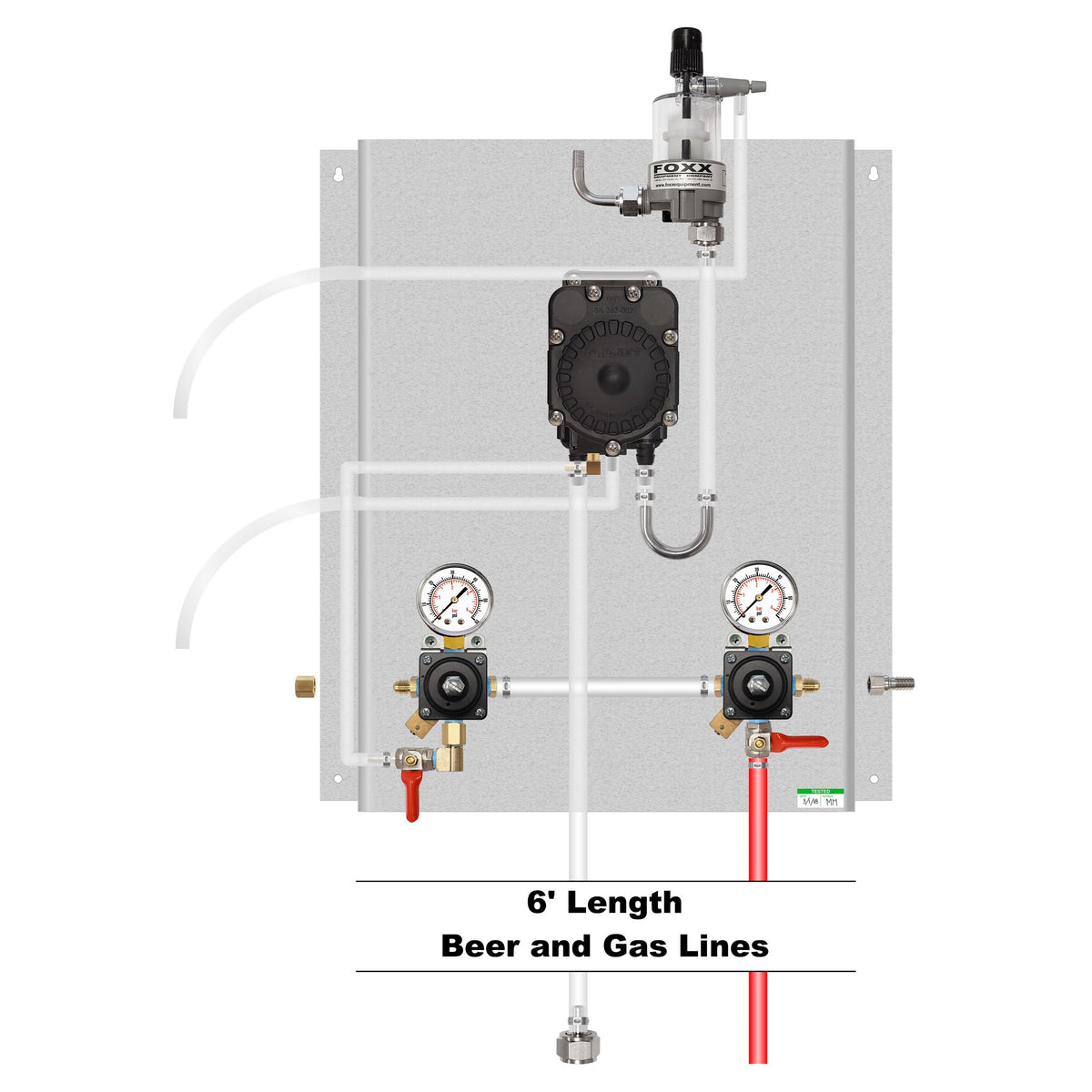 Assembled Panel with Cornelius Regulators, 1 Flojet Beer Pump, 1 FOB, Gas & Beer Lines, Fittings