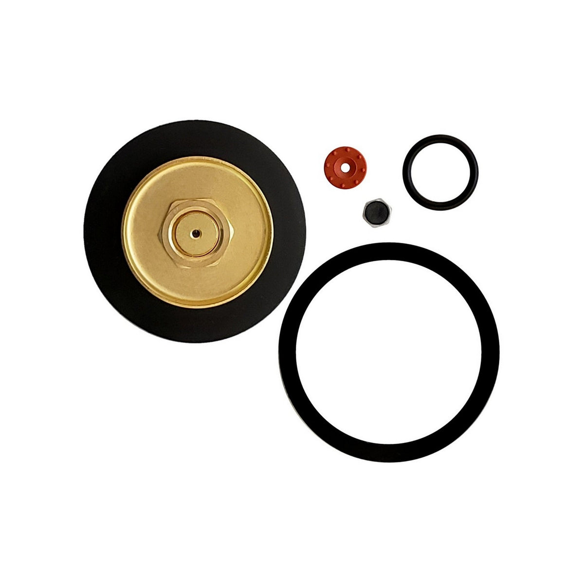 Cornelius Primary Regulator Repair Kit