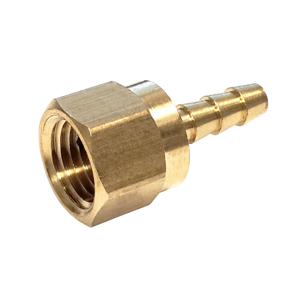 Hose Stem, 3/16" B x 1/4" Female Pipe Thread Brass