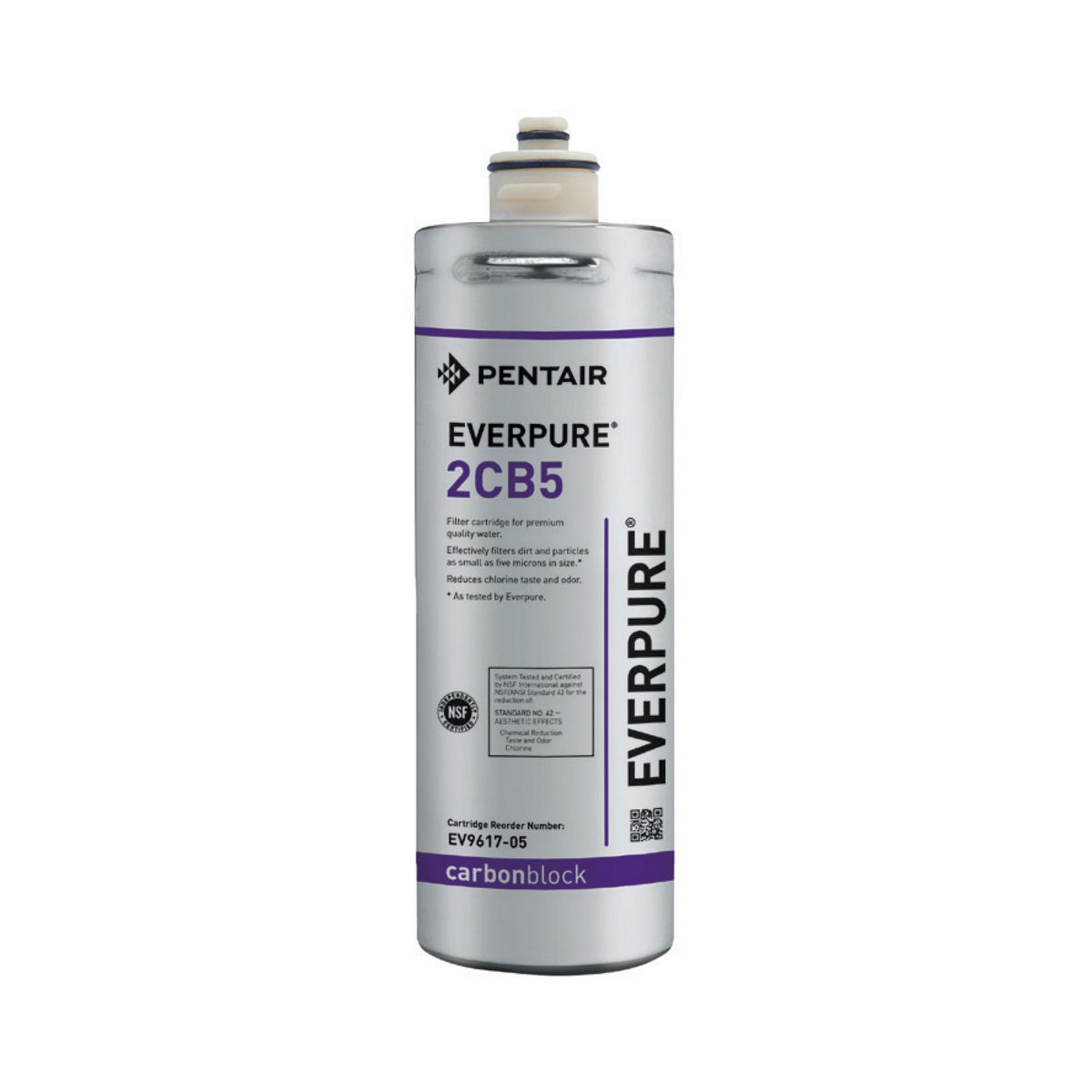 Everpure EV9617-05 2CB5 Filter Cartridge, 5 Micron, 1 GPM