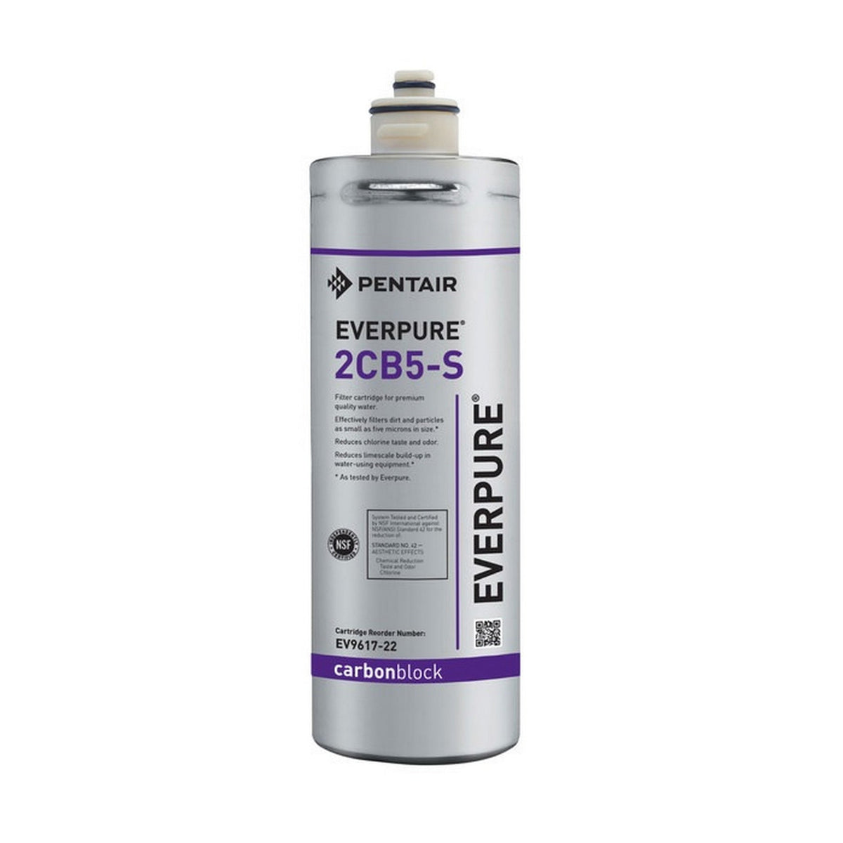 Everpure EV9617-22 2CB5-S Filter Cartridge, 5 Micron, 1 GPM