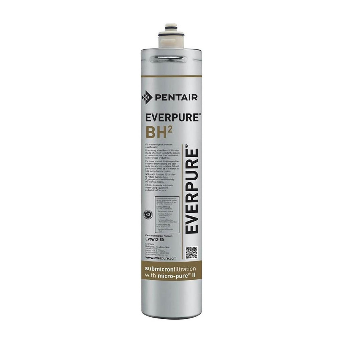 Everpure EV9612-51 BH2 Filter Cartridge, 0.5 Micron, 0.5 GPM