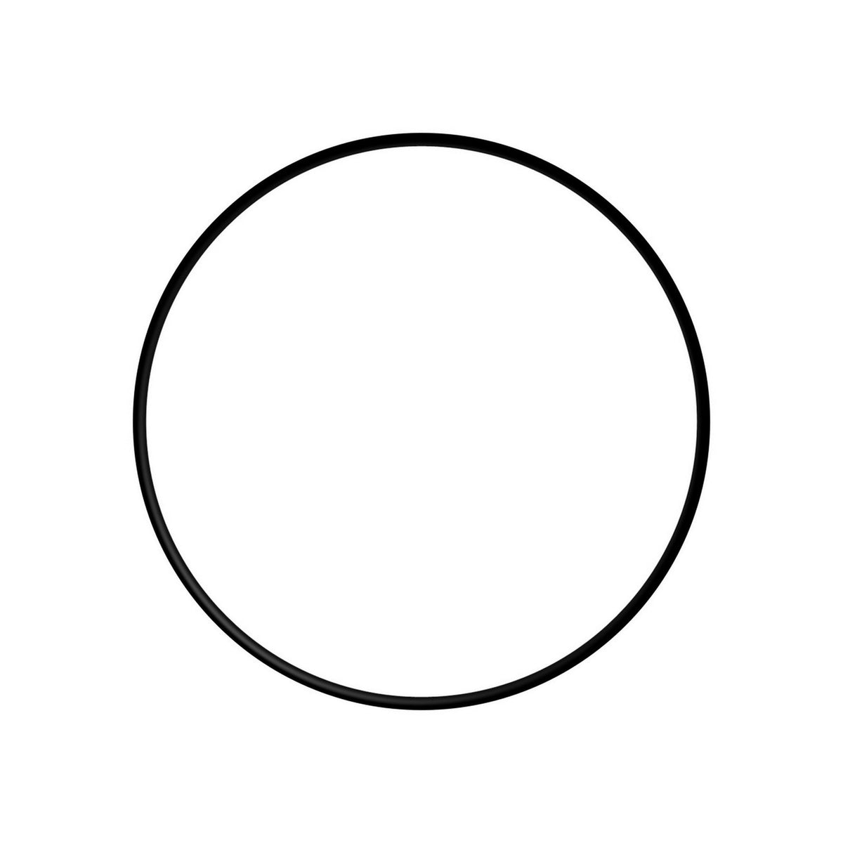 Everpure 151120 O-Ring, Buna-N #241, Std, UPC, Bulk