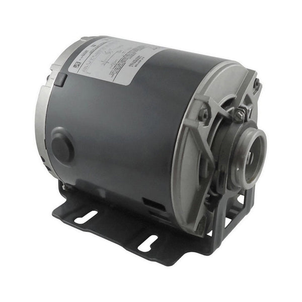 Leeson Pump Motor, 48Y Frame, 115V/230V, 1/2 HP