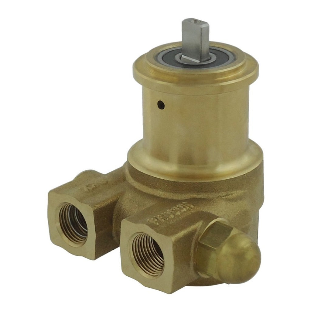 Procon Series 2 Pump, 100 GPH, Brass