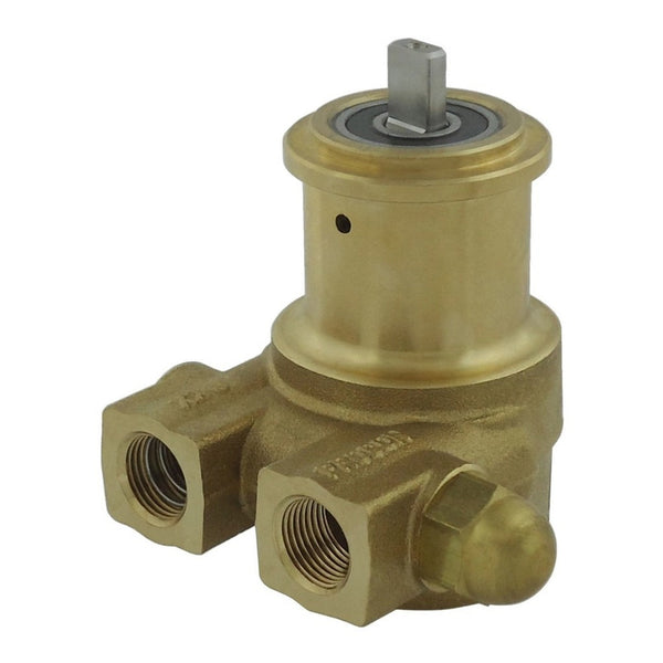 Procon Series 2 Pump, 100 GPH, Brass