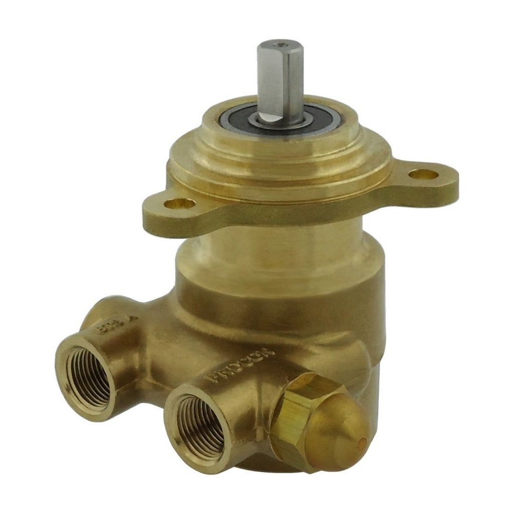 Procon Series 2 Pump, 100 GPH, Brass