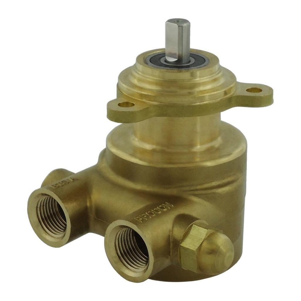 Procon Series 4 Pump, 140 GPH, Brass