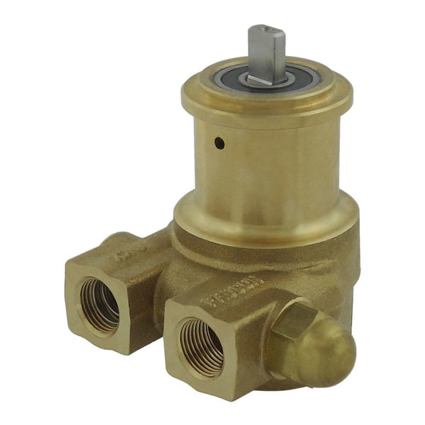 Procon Series 2 Pump, 70 GPH, Brass