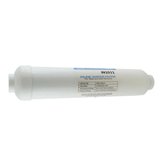 10" IN-LINE WATER FILTER, 1/4"FPT (COCO GAC)